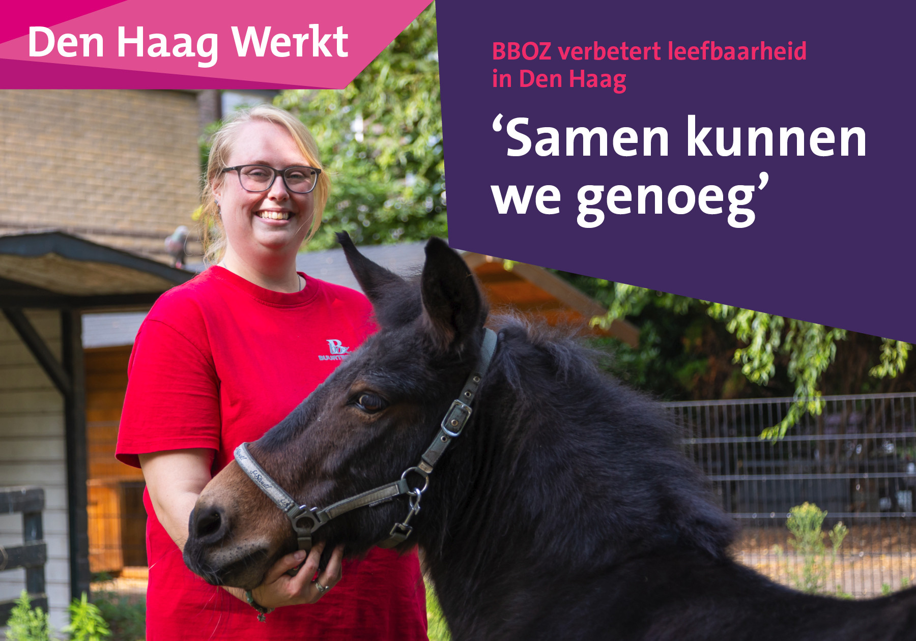 header afbeelding artikel