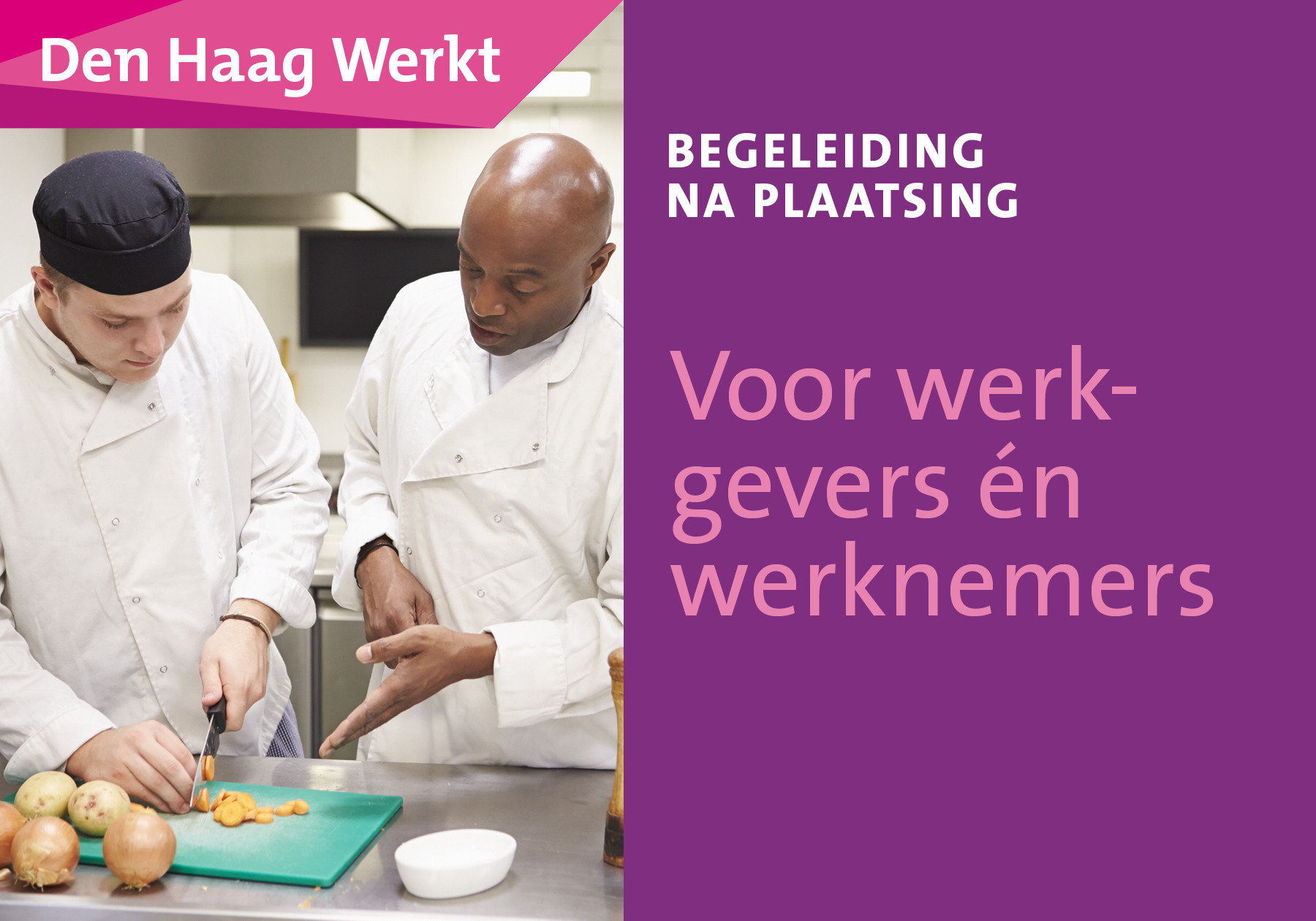 header afbeelding artikel