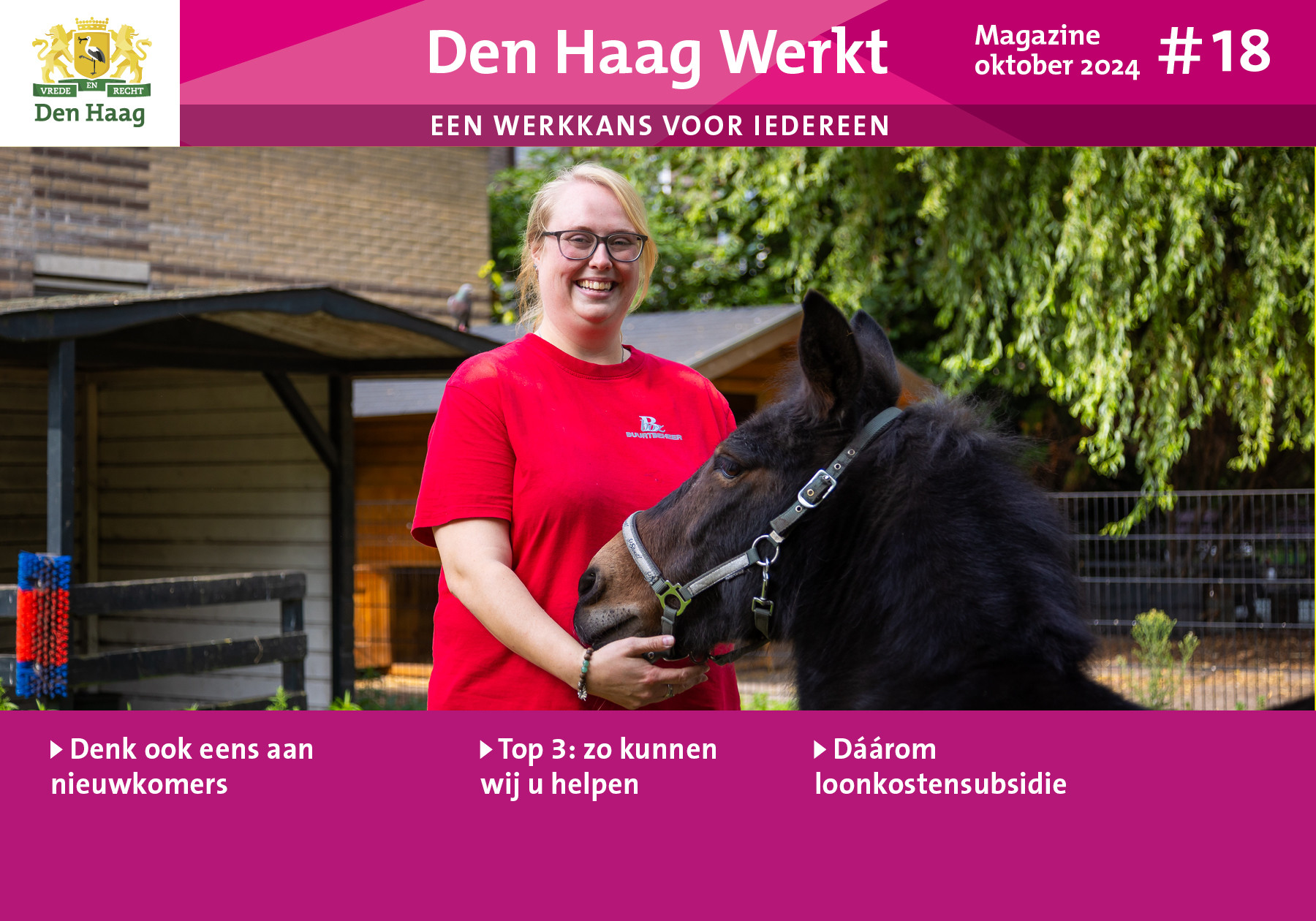 header afbeelding artikel