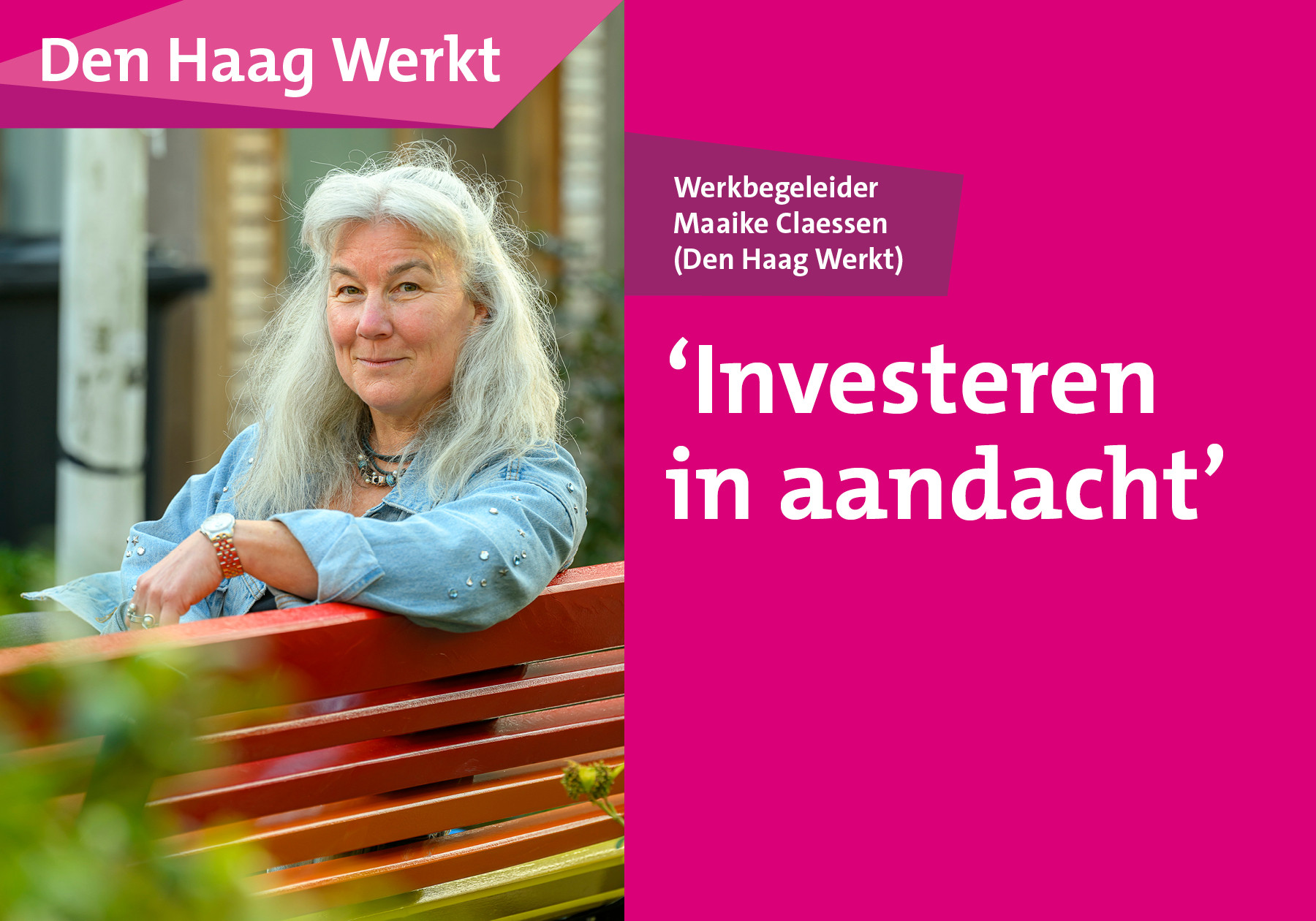 header afbeelding artikel