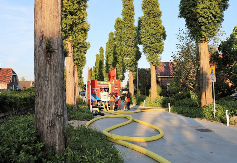 header afbeelding artikel